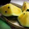PASTEQUE JAUNE SWEET