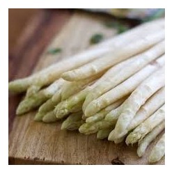 ASPERGE BLANCHE D'ARGENTEUIL