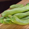 COURGETTE GENOVESE
