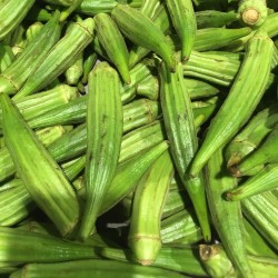 GOMBO (OKRA) CLEMSON SPINELESS