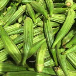 GOMBO (OKRA) CLEMSON SPINELESS