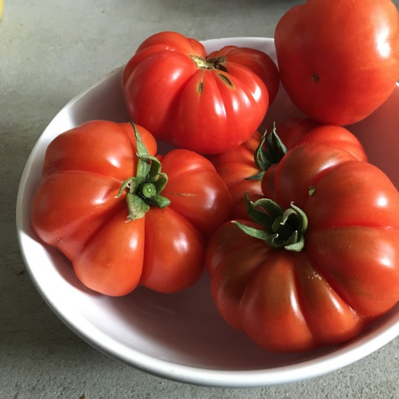 TOMATE MARMANDE