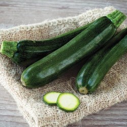 COURGETTE BEAUTY