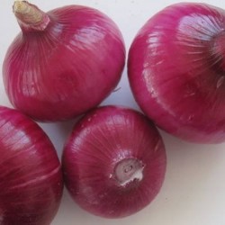 OIGNON ROUGE CREOLE