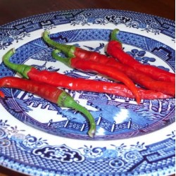 PIMENT DE CAYENNE