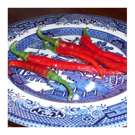 PIMENT DE CAYENNE