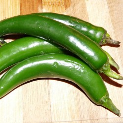 PIMENT GUINDILLA VERDE